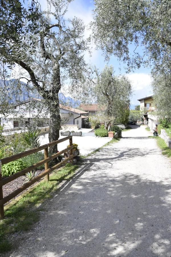 La Terrazza Sul Lago Apartment Malcesine Bagian luar foto